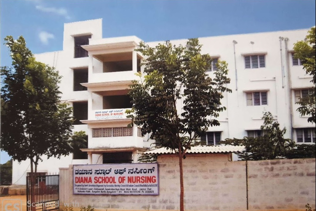 Diana College Of Nursing